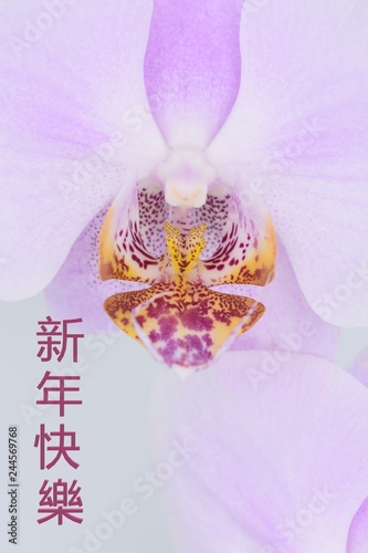 Chinese New Year greeting with orchid flower background. Translation  Happy New Year  in traditional Chinese language 