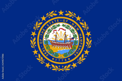 New Hampshire State Flag Vector