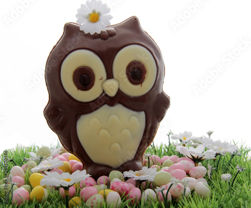 Chouette en chocolat photo