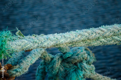 Old Mossy Rope in The Sea © Hasilyus