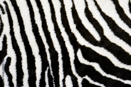 Zebra texture carpet