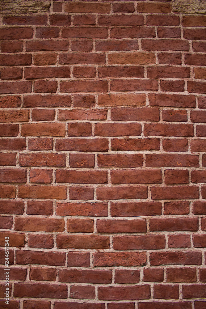 Obraz premium Texture brick wall. Background. Bricks and concrete