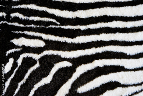 Zebra texture carpet