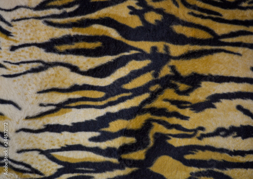 Tiger Print / animal print Background carpet