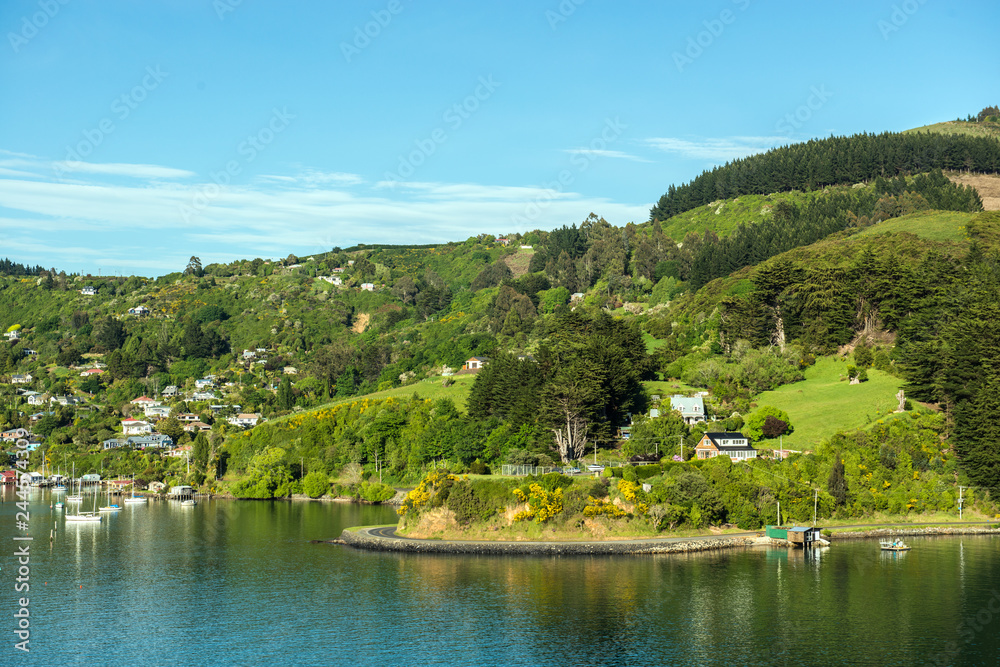 Sea approach to Port Chalmers, the port for the city of Dunedin in the South Island of New Zealand