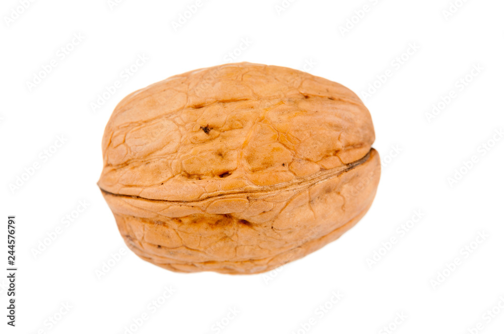 Walnut close up isolated on white background
