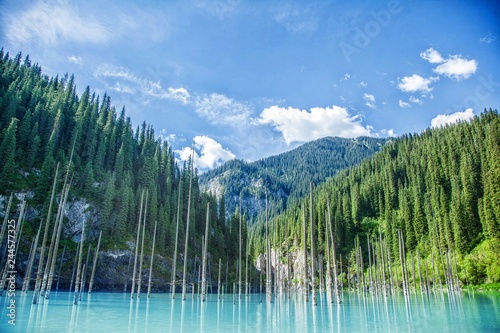 sunken forest in Kazakhstan