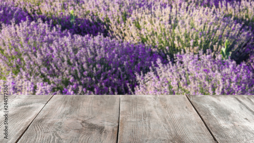 Fototapeta Naklejka Na Ścianę i Meble -  Beautiful blooming lavender in field on summer day