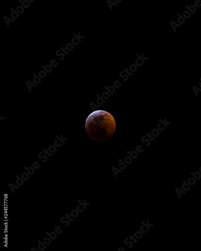 Super Blood Wolf Moon 7 © Andrew