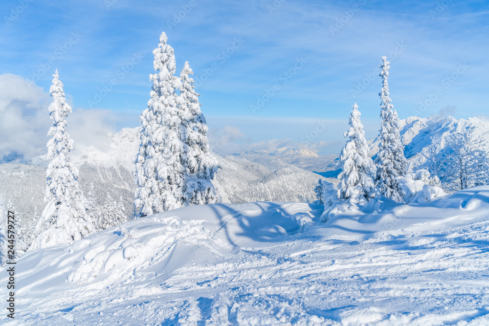 View of winter landscape with snow covered trees and Alps in Seefeld in the Austrian state of Tyrol. Winter in Austria