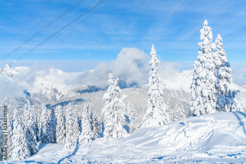 View of winter landscape with snow covered trees and Alps in Seefeld in the Austrian state of Tyrol. Winter in Austria
