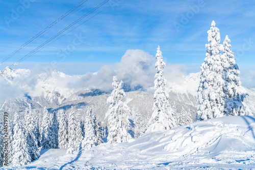 View of winter landscape with snow covered trees and Alps in Seefeld in the Austrian state of Tyrol. Winter in Austria © beataaldridge