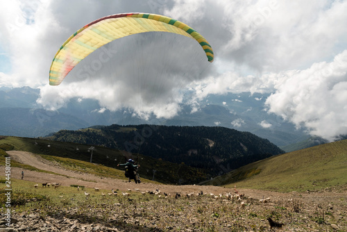The instructor teaches the tourist to fly a paraglider. In the foreground, two people rise to the sky. Goats graze beneath them. In the distance, mountains, forest, road, cable car. Sunny day, clouds.