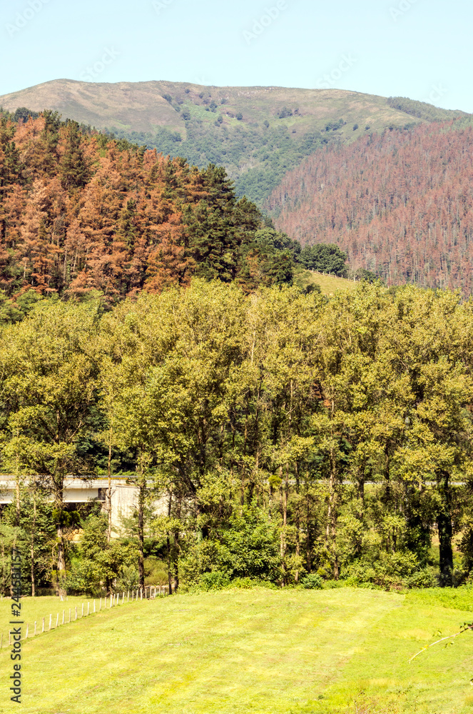 Naklejka premium Pyrenees mountains in Navarra in a cloudy day
