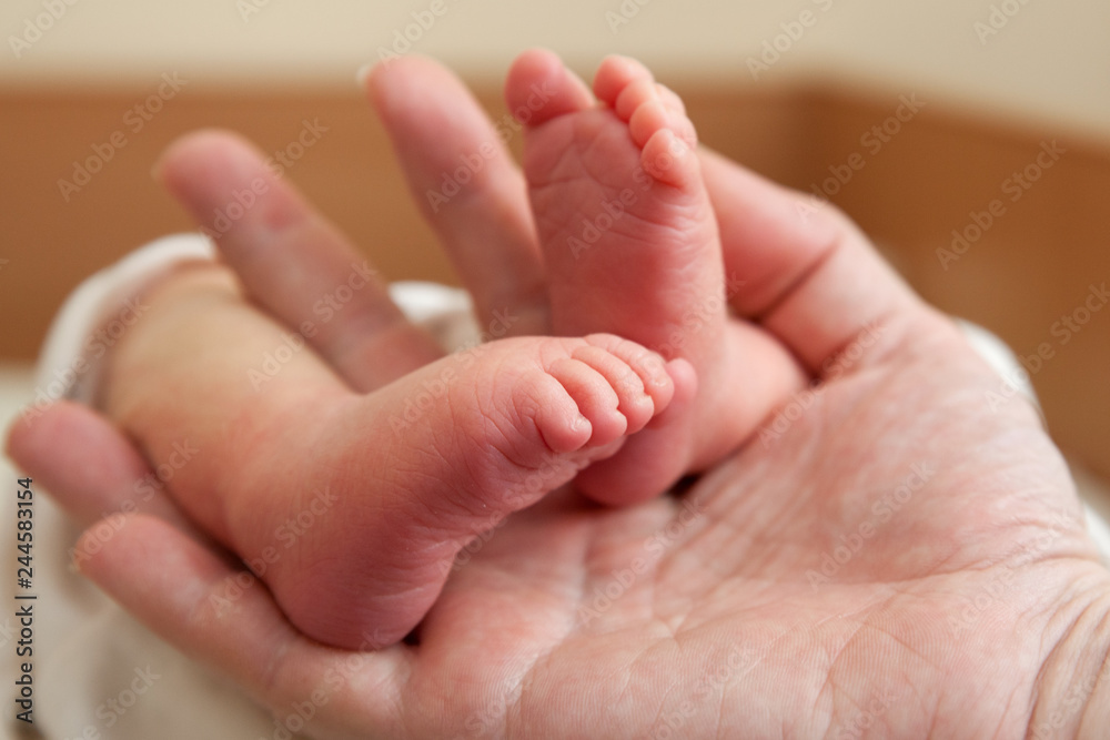 Infant heels in fathers hand Infant heels in fathers hand