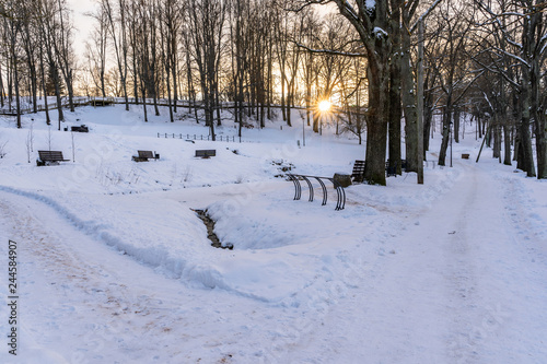 Photo of an Empty Walkway in Park in Alley on Sunny Winter Evening