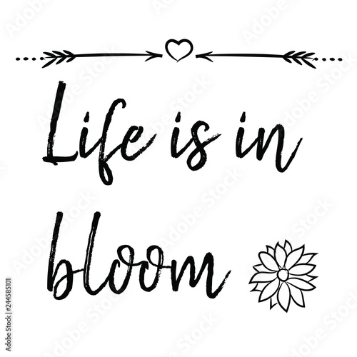 Life is in bloom. Calligraphy saying for print. Vector Quote for typography and Social media post. Modern Inspiration Design