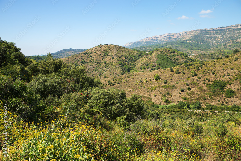 Landscape on a road to Siurana - a famous highland village of the municipality of the Cornudella de Montsant in the comarca of Priorat, Tarragona, Catalonia, Spain.