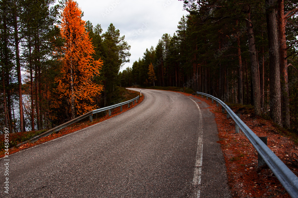 Fototapeta premium Straße im Herbst
