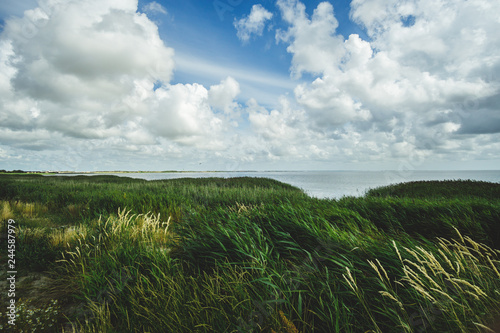 Bewölkte Landschaft