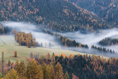 Bruma del mattino photo