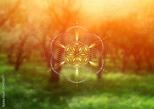 Vector template; Spiritual sacred geometry; Abstract geometric shape based on ancient symbol - "flower of life" on psychedelic natural photographic background; Yoga, meditation and relax.