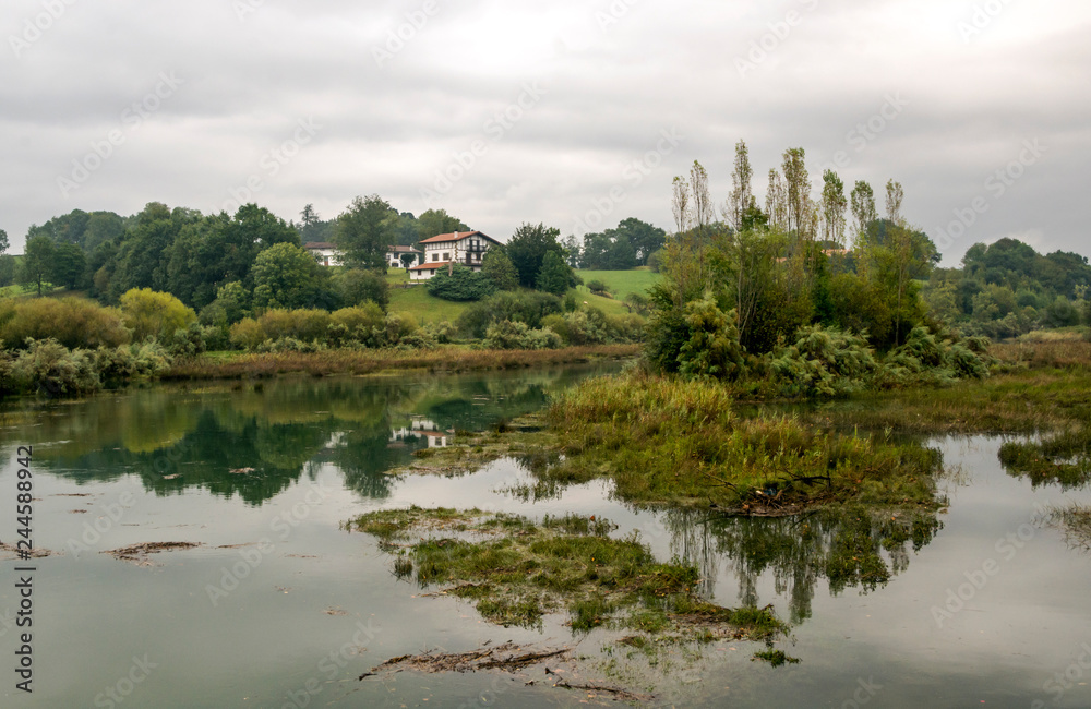Lake with trees reflected in the Basque Country on a cloudy day