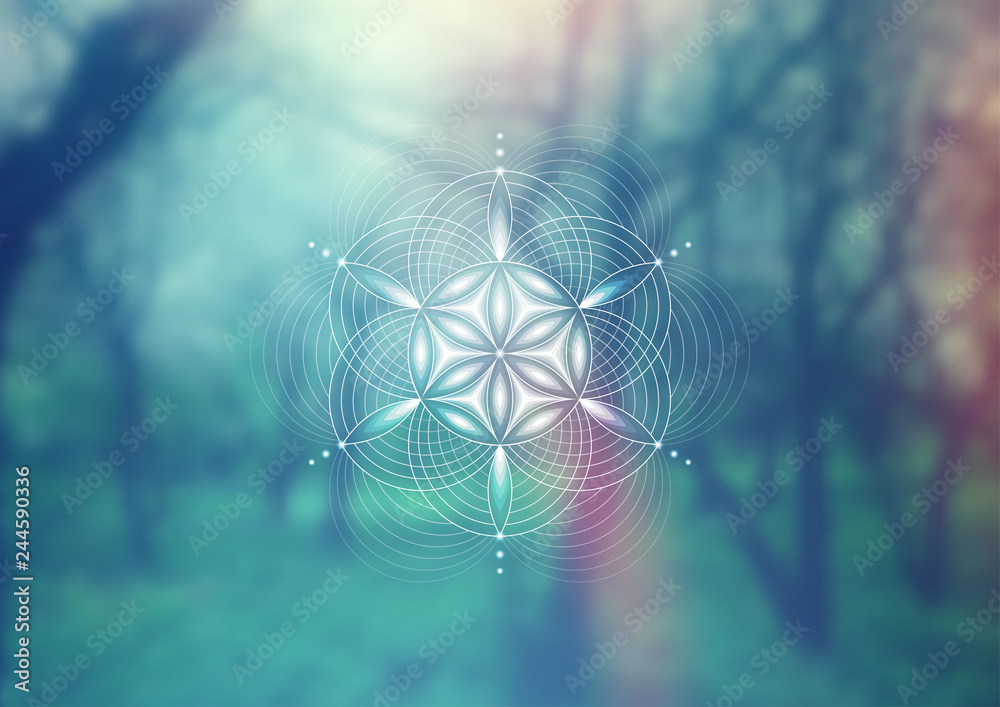 Vector template; Spiritual sacred geometry; Abstract geometric shape based on ancient symbol - "flower of life" on psychedelic natural photographic background; Yoga, meditation and relax. - obrazy, fototapety, plakaty 