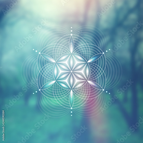 Vector template; Spiritual sacred geometry; Abstract geometric shape based on ancient symbol - "flower of life" on psychedelic natural photographic background; Yoga, meditation and relax.