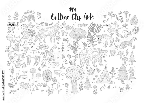 Big set of hand drawn forest illustrations.