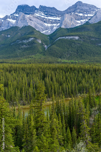 Spring Mountain Valley - A Spring evening view of dense evergreen forest in Bow River Valley at base of Mount Rundle, Banff National Park, Alberta, Canada. © Sean Xu