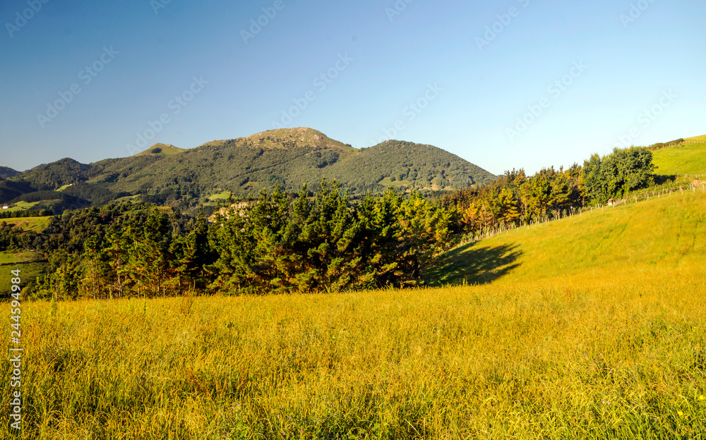 Fields in Zumaia, San Sebastian, Spain on a sunny day