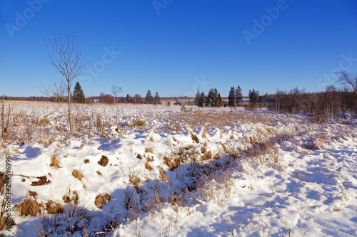 parc naturel des Hautes-Fagnes sous la neige, Belgique