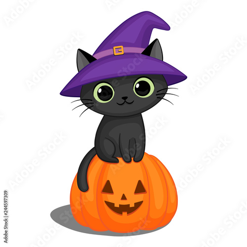 Black cat in a witch hat on a Halloween pumpkin