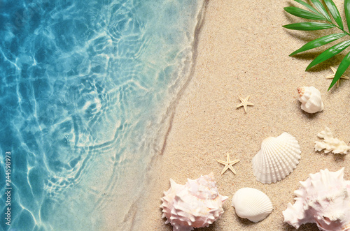 Sticker starfish on the summer beach with sand,
