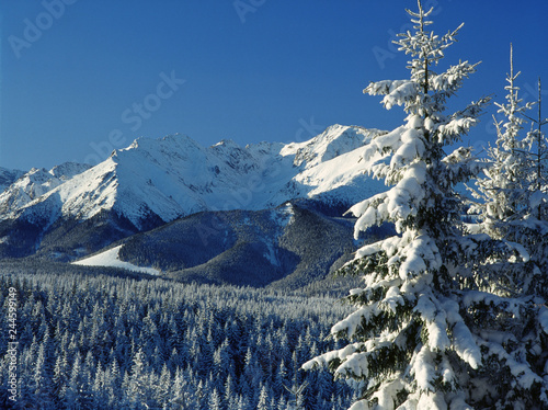 Fototapeta Naklejka Na Ścianę i Meble -  Tatry National Park, Tatry Mountains, Poland
