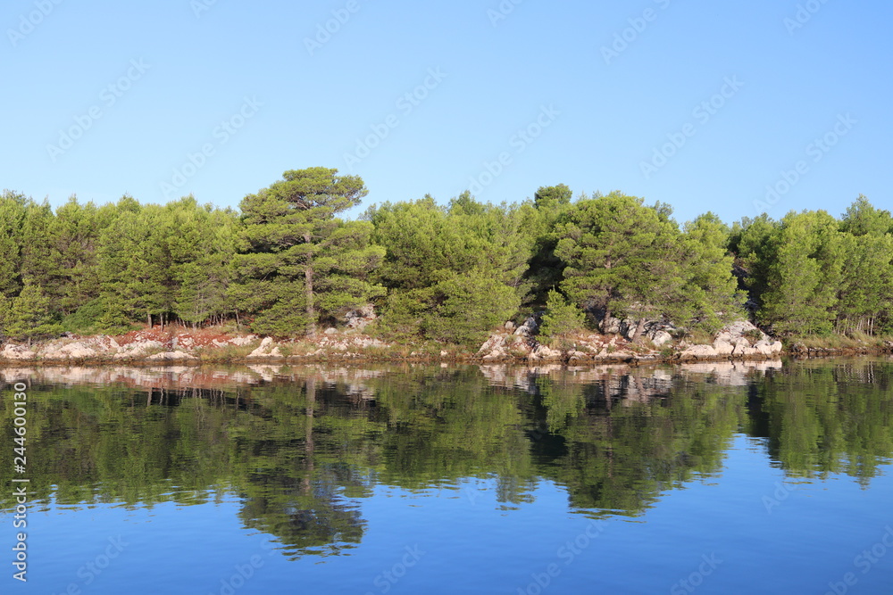 Picturesque bay surrounded by greenery of a coniferous forest. Calm and rest after sea crossing. Croatian Riviera on the Adriatic Sea of the Mediterranean area. Mirror reflection of trees in the water