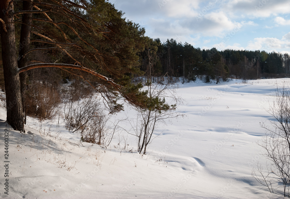 Winter picture. Lot of snow and beauty russian nature Winter picture. Lot of snow and beauty russian nature