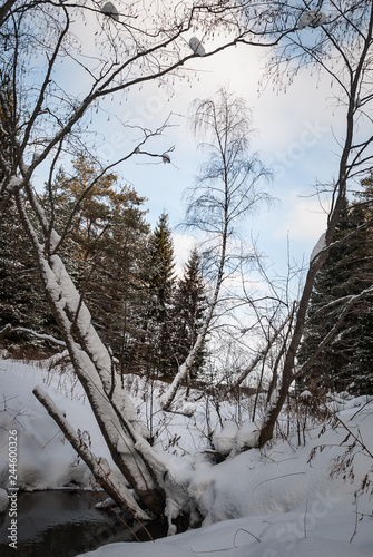 Winter picture. Lot of snow and beauty russian nature © Антон Ямщиков