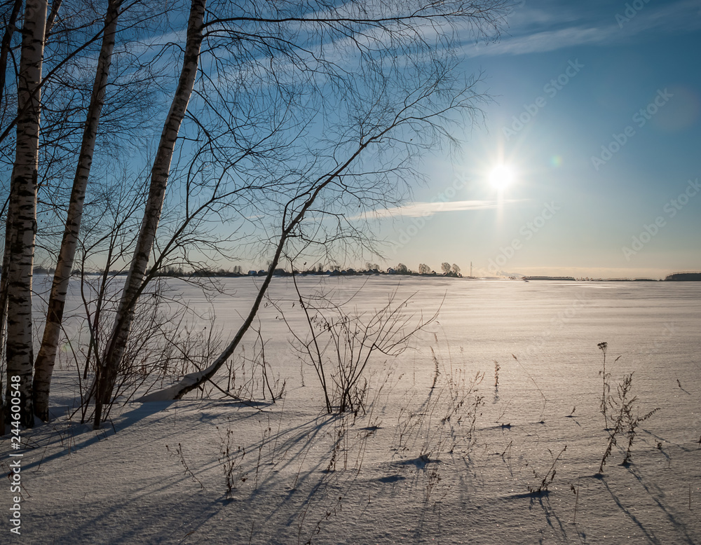 Fototapeta premium Winter picture. Lot of snow and beauty russian nature