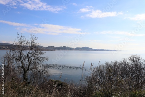 ETANG DE BERRE - BOUCHES DU RHONE - FRANCE