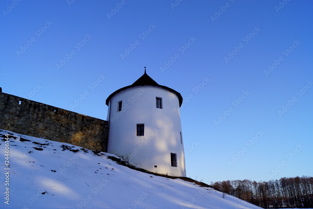 Zumberk fortress, Czech Republic, South Bohemia - south view of the tower, masonry and silhouette of trees