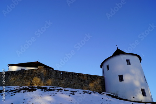 Zumberk fortress, Czech Republic, South Bohemia - south view of the tower, masonry and roof of the house photo