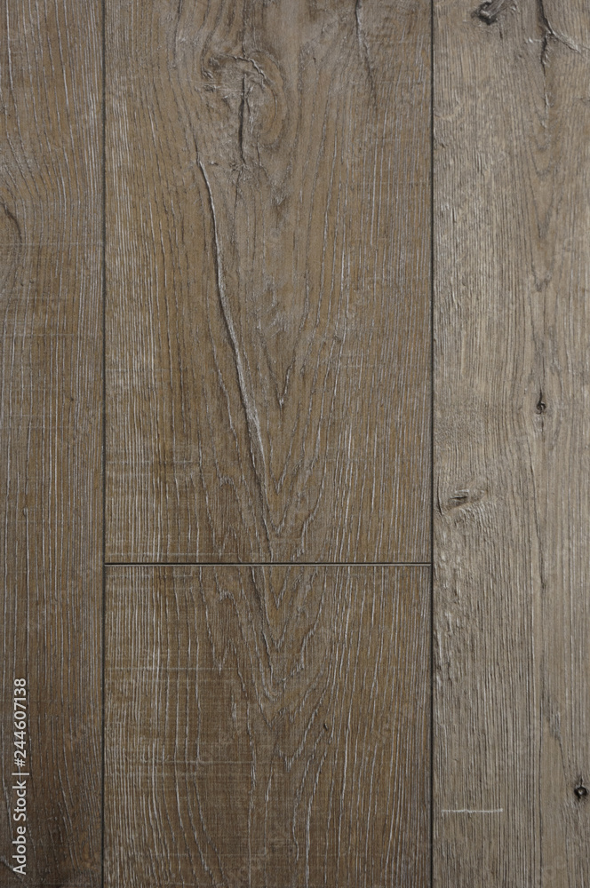 Obraz premium Wood texture. Wood texture for design and decoration