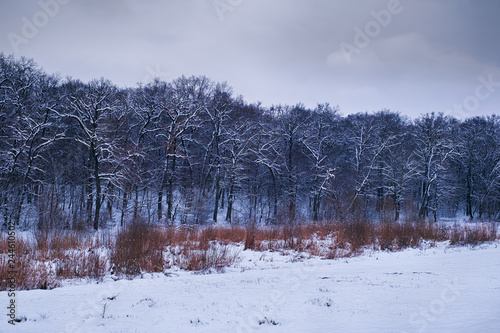 winter cloudy scenery panorama photo