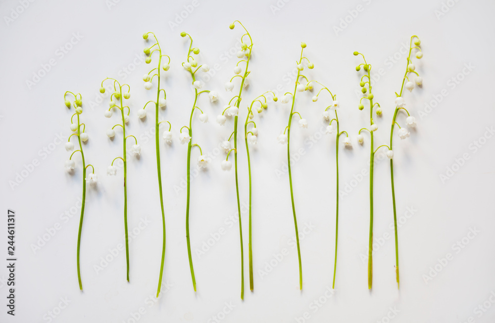 Fototapeta premium Lilies of the valley on white background.