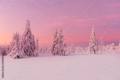 Beautiful winter landscape,...