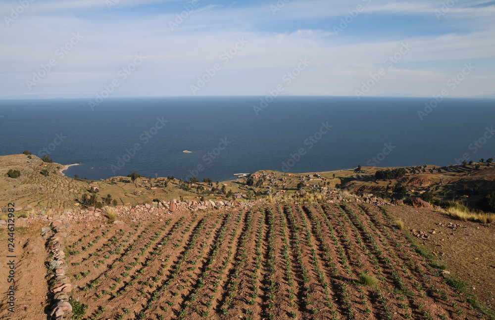 Obraz premium Isla Amantani