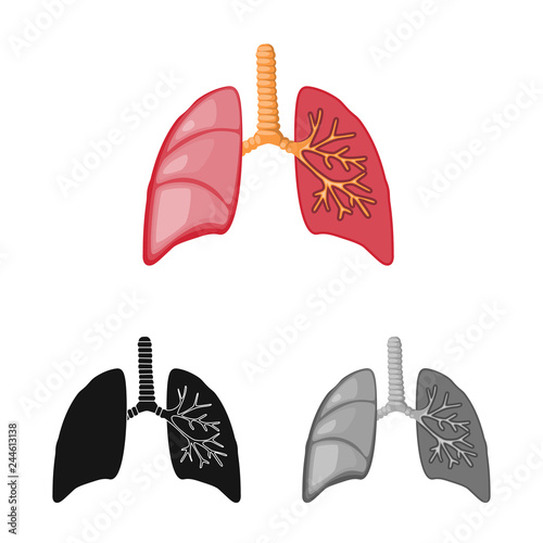Vector design of biology and scientific sign. Set of biology and laboratory stock vector illustration.