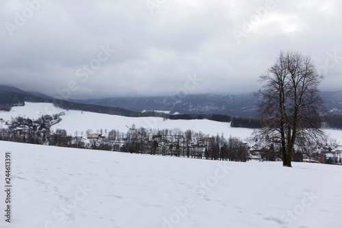 Snowy north Bohemia Landscape, Jizerske Mountains, Czech Republic